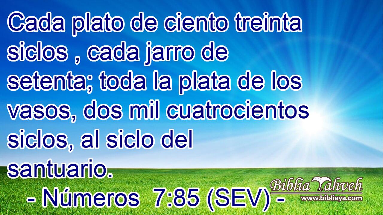 Cada plato de ciento treinta siclos , cada jarro de setenta; toda la plata de los vasos, dos mil cuatrocientos siclos, al siclo del santuario.