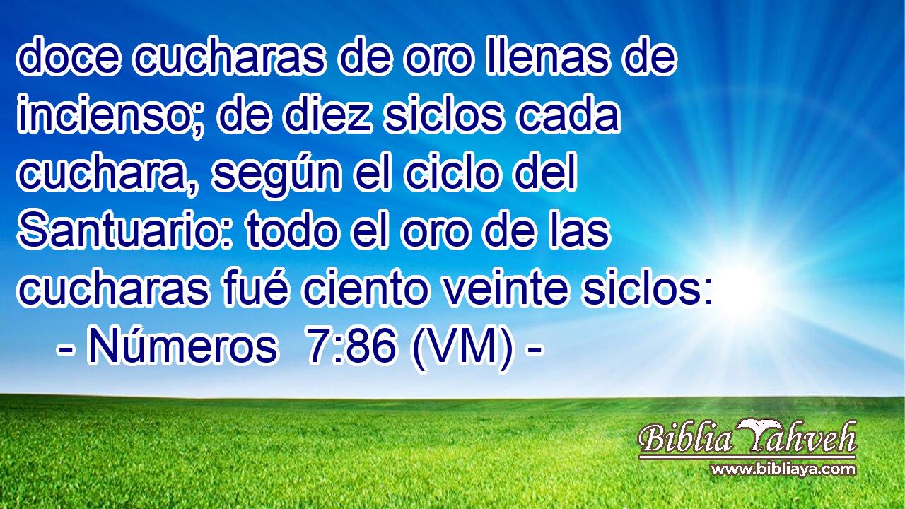  doce cucharas de oro llenas de incienso; de diez siclos cada cuchara, según el ciclo del Santuario: todo el oro de las cucharas fué ciento veinte siclos: 