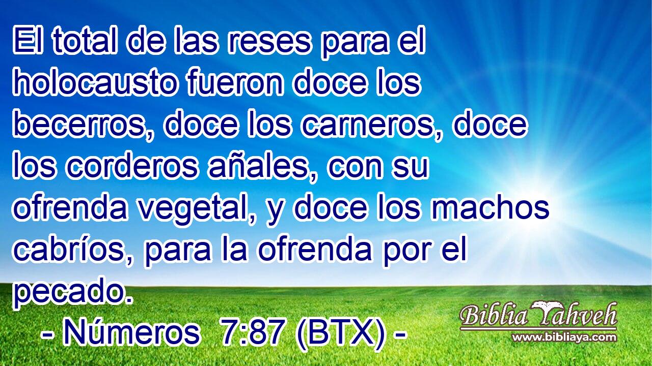 El total de las reses para el holocausto fueron doce los becerros, doce los carneros, doce los corderos añales, con su ofrenda vegetal, y doce los machos cabríos, para la ofrenda por el pecado.