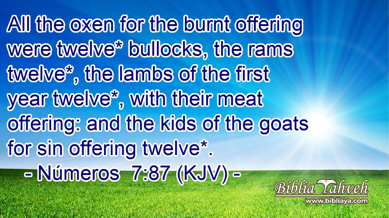 All the oxen for the burnt offering were twelve* bullocks, the rams twelve*, the lambs of the first year twelve*, with their meat offering: and the kids of the goats for sin offering twelve*.