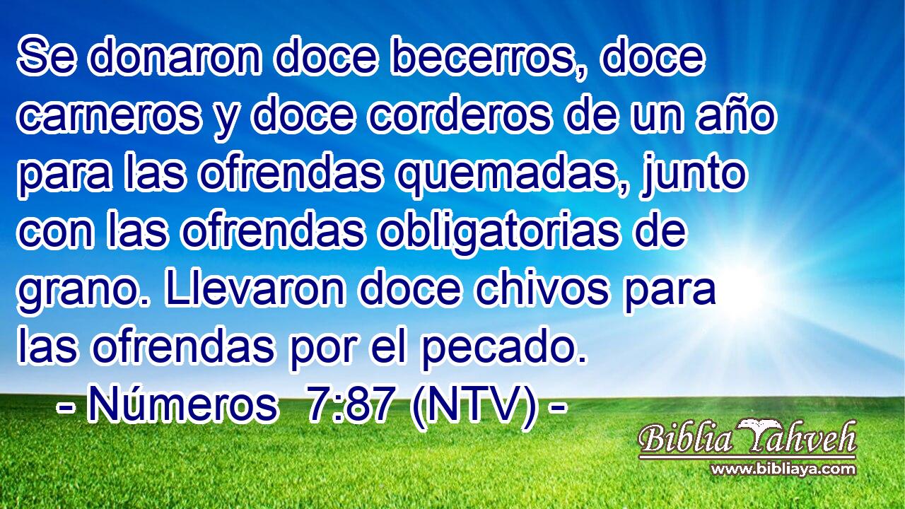 Se donaron doce becerros, doce carneros y doce corderos de un año para las ofrendas quemadas, junto con las ofrendas obligatorias de grano. Llevaron doce chivos para las ofrendas por el pecado.