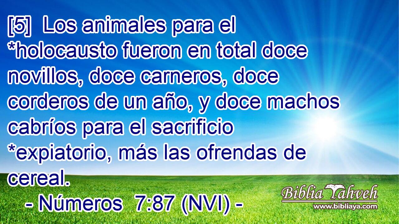  [5]  Los animales para el *holocausto fueron en total doce novillos, doce carneros, doce corderos de un año, y doce machos cabríos para el sacrificio *expiatorio, más las ofrendas de cereal. 