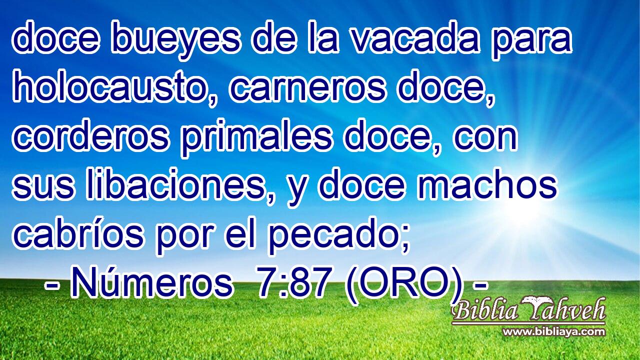  doce bueyes de la vacada para holocausto, carneros doce, corderos primales doce, con sus libaciones, y doce machos cabríos por el pecado; 