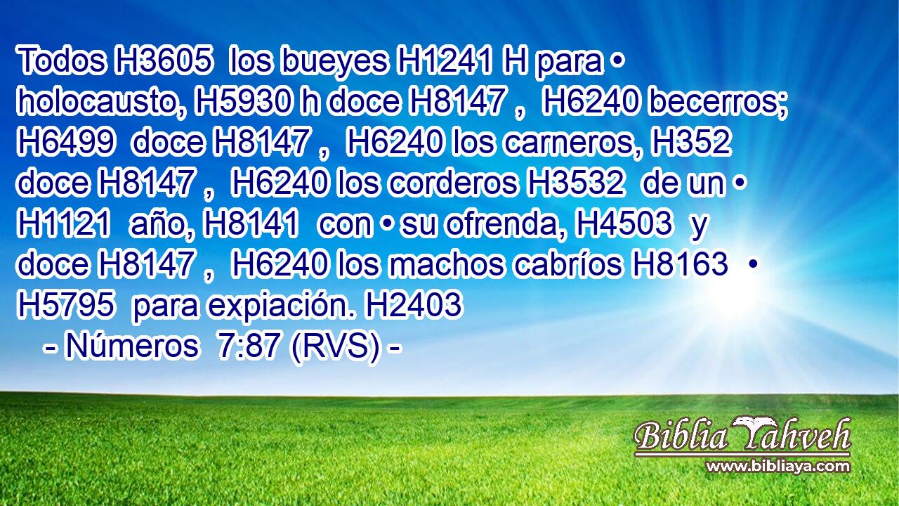 Todos H3605  los bueyes H1241 H para • holocausto, H5930 h doce H8147 ,  H6240 becerros; H6499  doce H8147 ,  H6240 los carneros, H352  doce H8147 ,  H6240 los corderos H3532  de un • H1121  año, H8141  con • su ofrenda, H4503  y doce H8147 ,  H6240 los machos cabríos H8163  • H5795  para expiación. H2403  