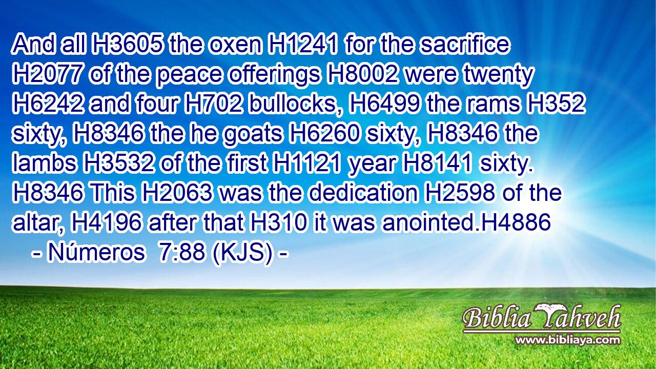 And all H3605 the oxen H1241 for the sacrifice H2077 of the peace offerings H8002 were twenty H6242 and four H702 bullocks, H6499 the rams H352 sixty, H8346 the he goats H6260 sixty, H8346 the lambs H3532 of the first H1121 year H8141 sixty. H8346 This H2063 was the dedication H2598 of the altar, H4196 after that H310 it was anointed.H4886