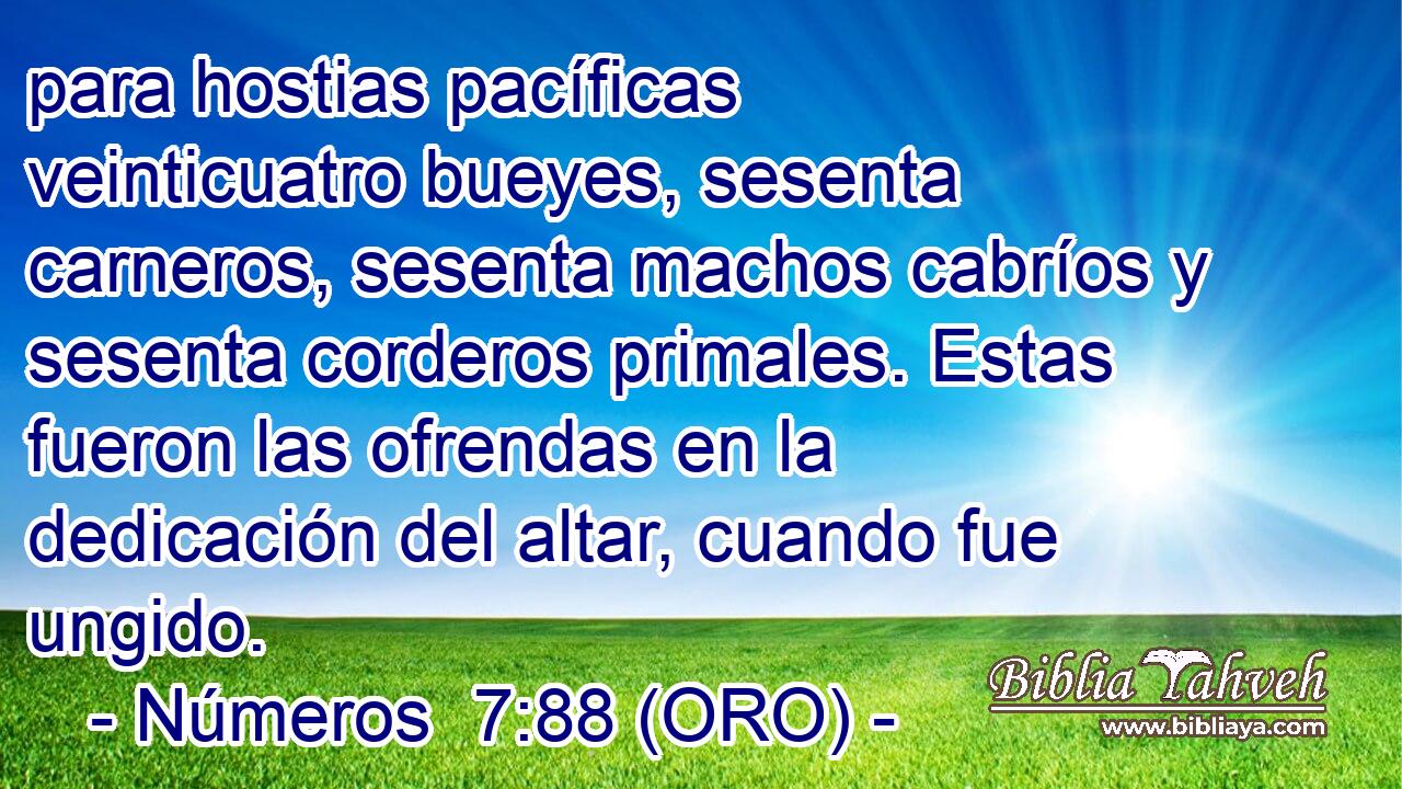  para hostias pacíficas veinticuatro bueyes, sesenta carneros, sesenta machos cabríos y sesenta corderos primales. Estas fueron las ofrendas en la dedicación del altar, cuando fue ungido. 