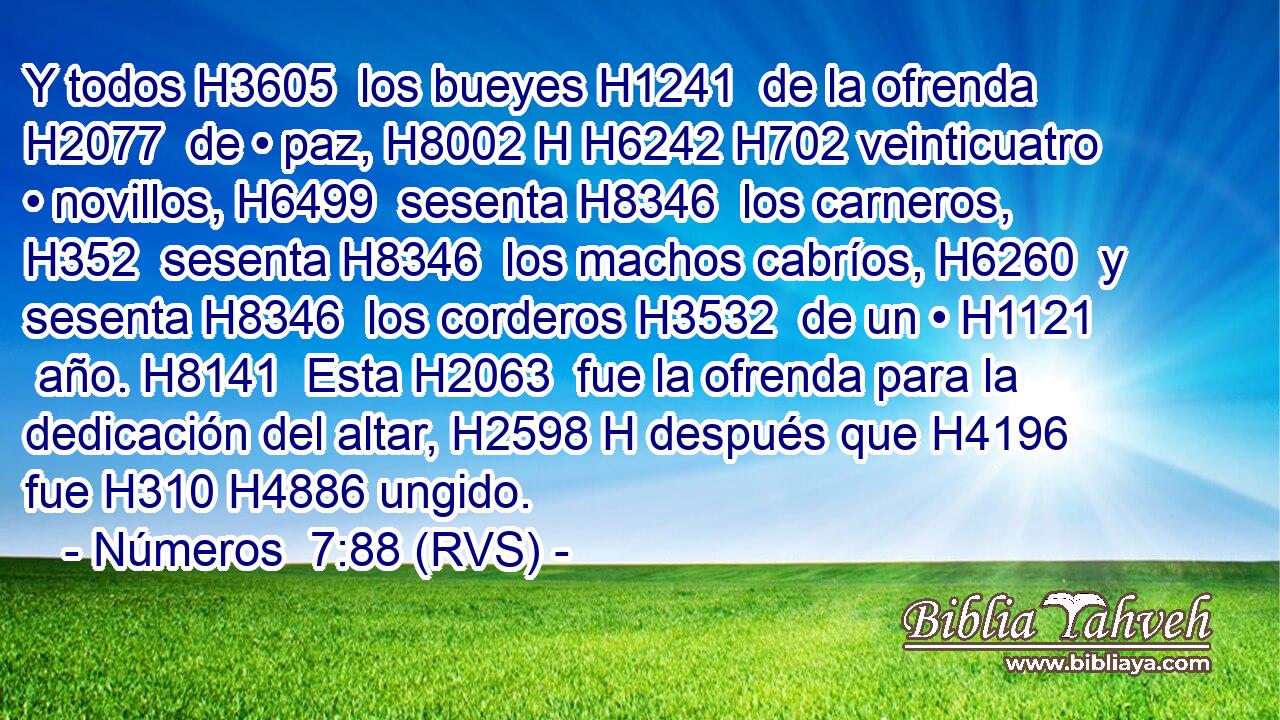 Y todos H3605  los bueyes H1241  de la ofrenda H2077  de • paz, H8002 H H6242 H702 veinticuatro • novillos, H6499  sesenta H8346  los carneros, H352  sesenta H8346  los machos cabríos, H6260  y sesenta H8346  los corderos H3532  de un • H1121  año. H8141  Esta H2063  fue la ofrenda para la dedicación del altar, H2598 H después que H4196 fue H310 H4886 ungido. 