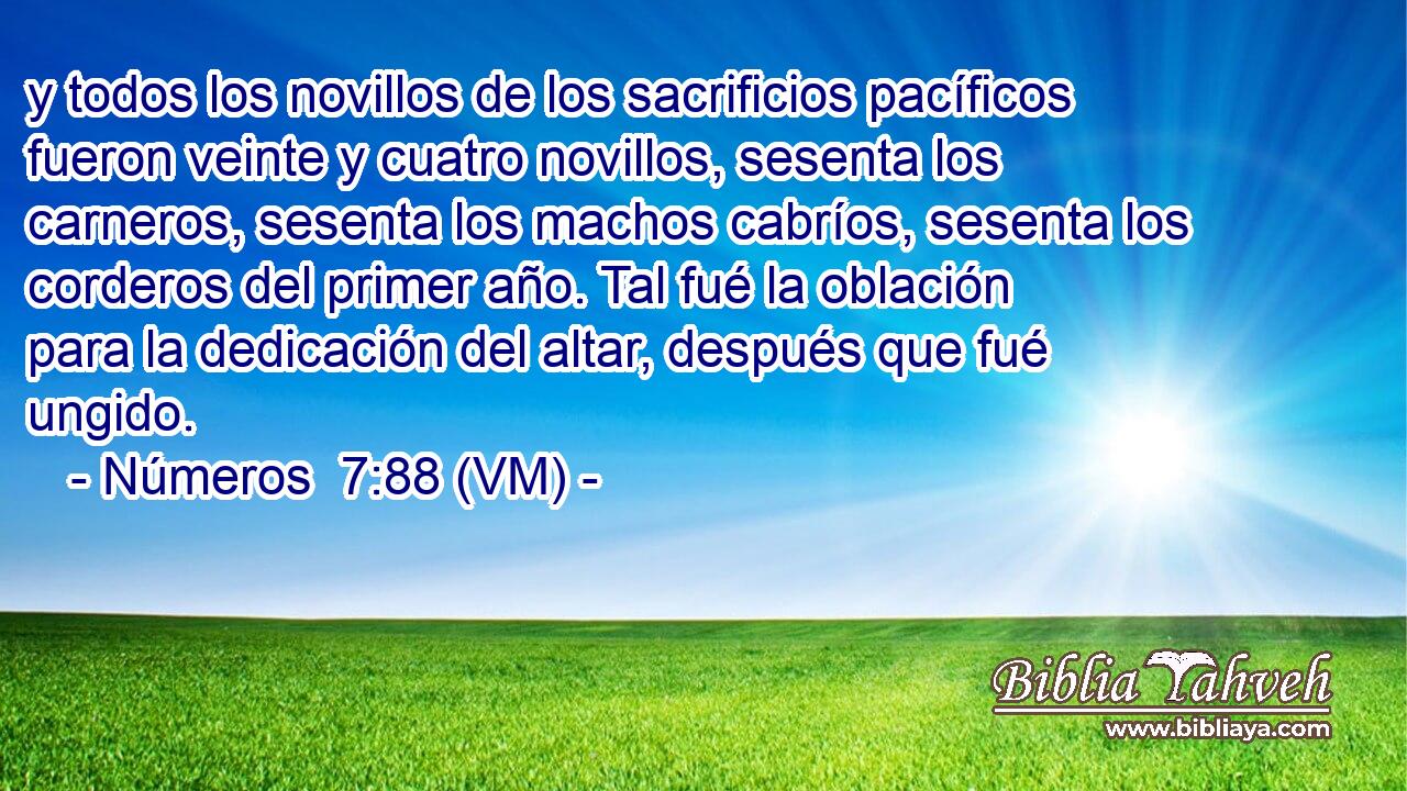  y todos los novillos de los sacrificios pacíficos fueron veinte y cuatro novillos, sesenta los carneros, sesenta los machos cabríos, sesenta los corderos del primer año. Tal fué la oblación para la dedicación del altar, después que fué ungido. 