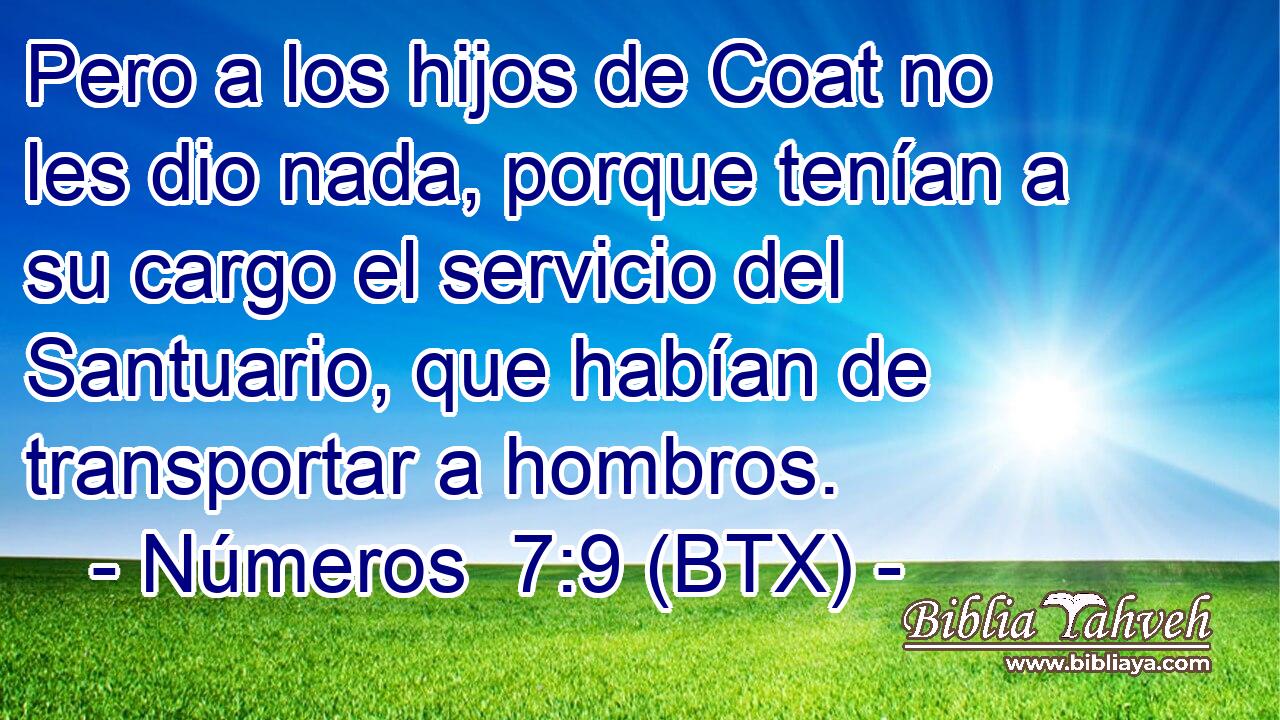 Pero a los hijos de Coat no les dio nada, porque tenían a su cargo el servicio del Santuario, que habían de transportar a hombros.
