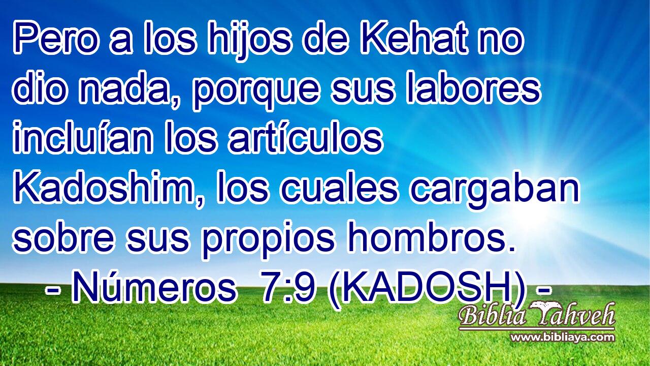  Pero a los hijos de Kehat no dio nada, porque sus labores incluían los artículos Kadoshim, los cuales cargaban sobre sus propios hombros. 