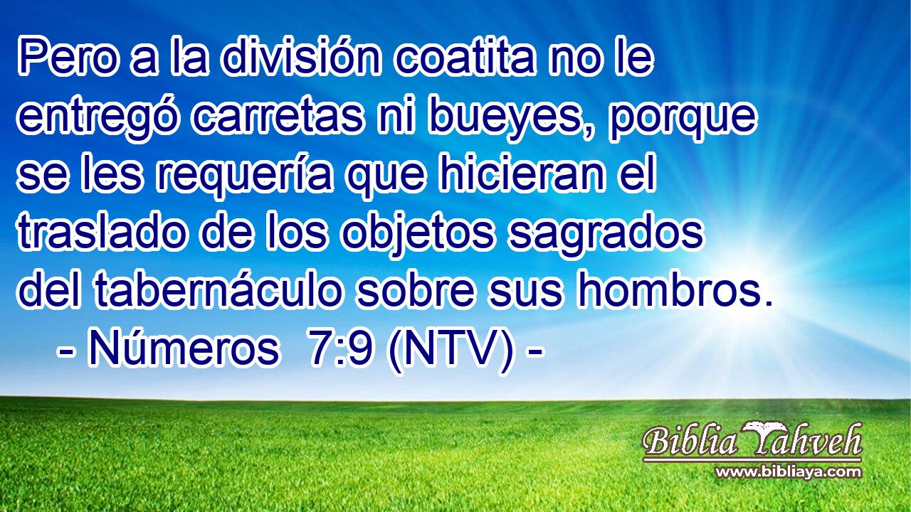 Pero a la división coatita no le entregó carretas ni bueyes, porque se les requería que hicieran el traslado de los objetos sagrados del tabernáculo sobre sus hombros.