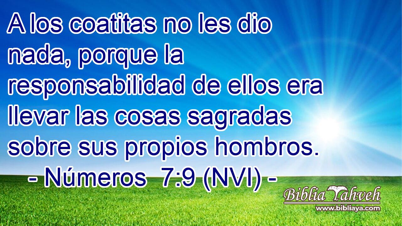  A los coatitas no les dio nada, porque la responsabilidad de ellos era llevar las cosas sagradas sobre sus propios hombros. 