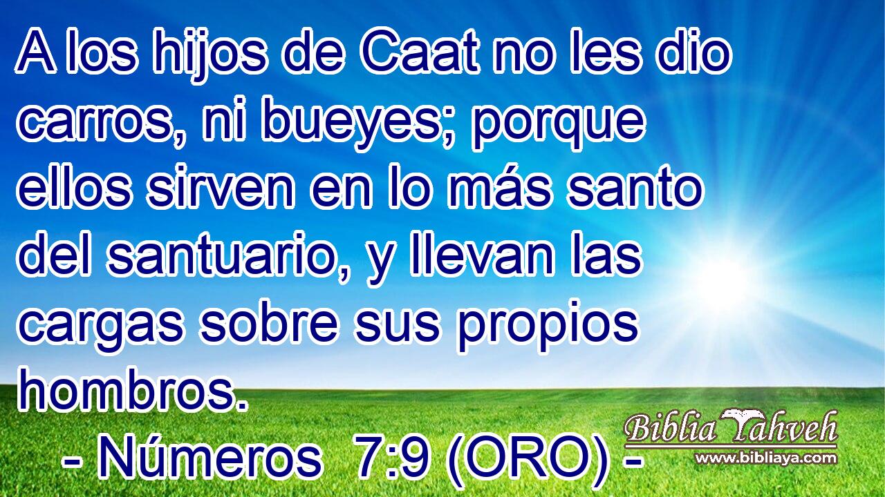  A los hijos de Caat no les dio carros, ni bueyes; porque ellos sirven en lo más santo del santuario, y llevan las cargas sobre sus propios hombros. 