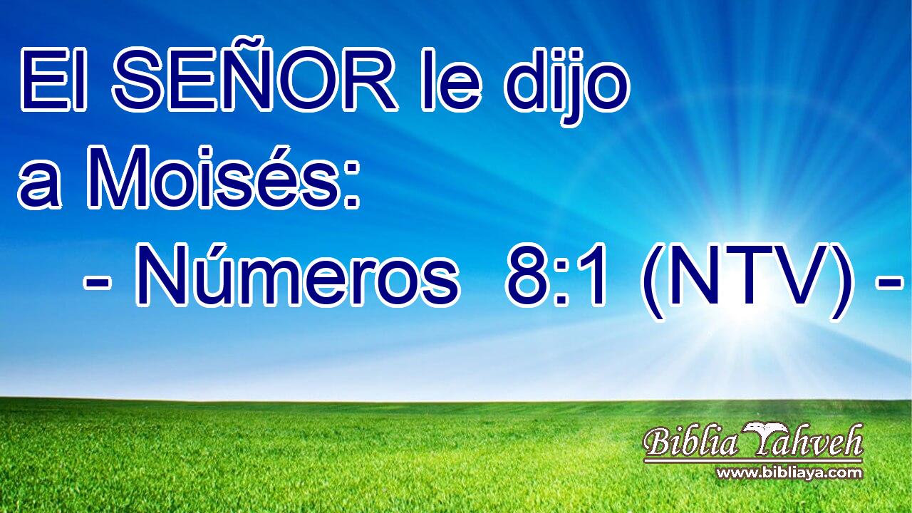 El SEÑOR le dijo a Moisés: