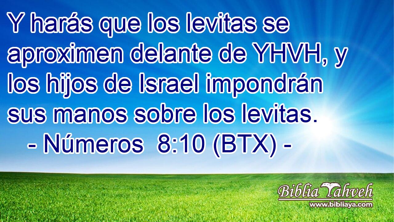 Y harás que los levitas se aproximen delante de YHVH, y los hijos de Israel impondrán sus manos sobre los levitas.