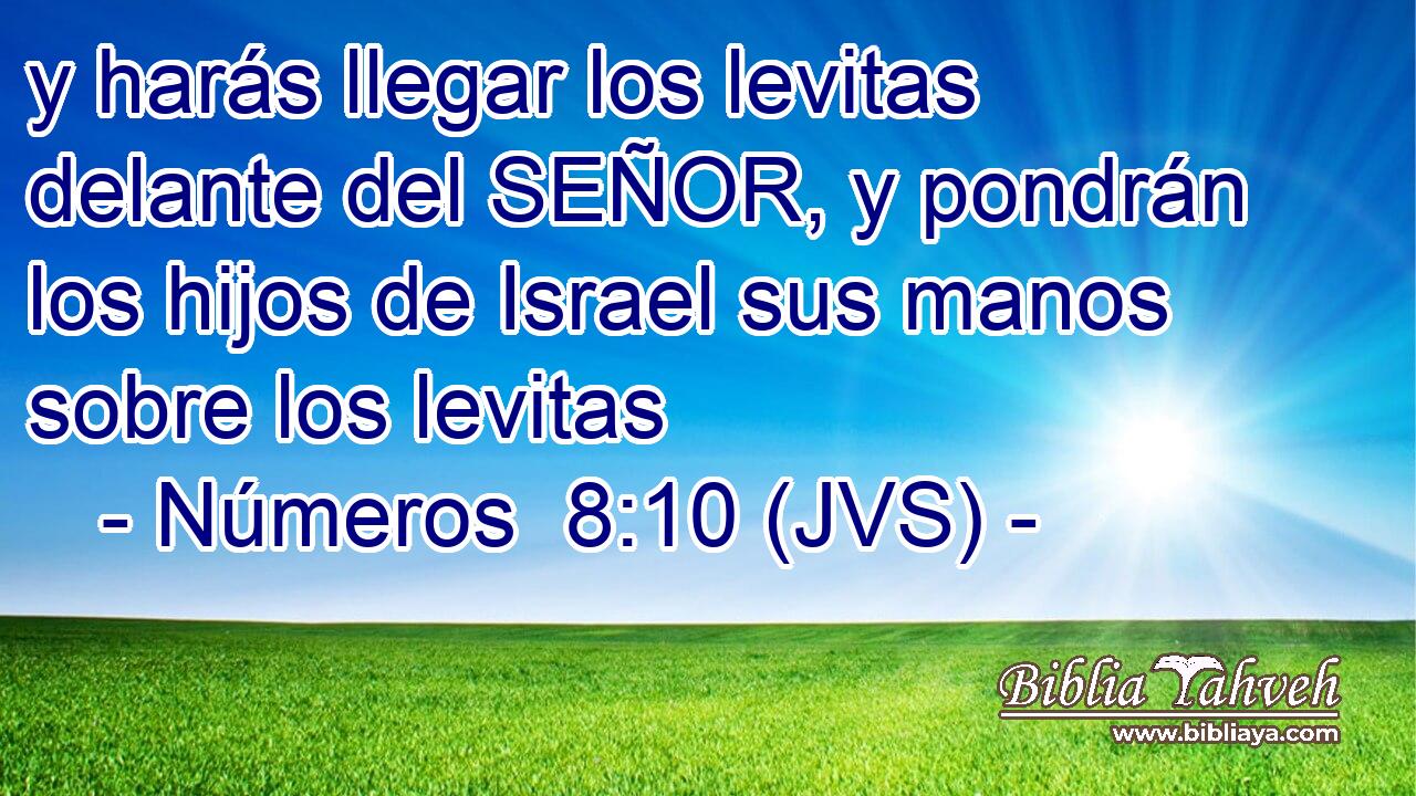 y harás llegar los levitas delante del SEÑOR, y pondrán los hijos de Israel sus manos sobre los levitas