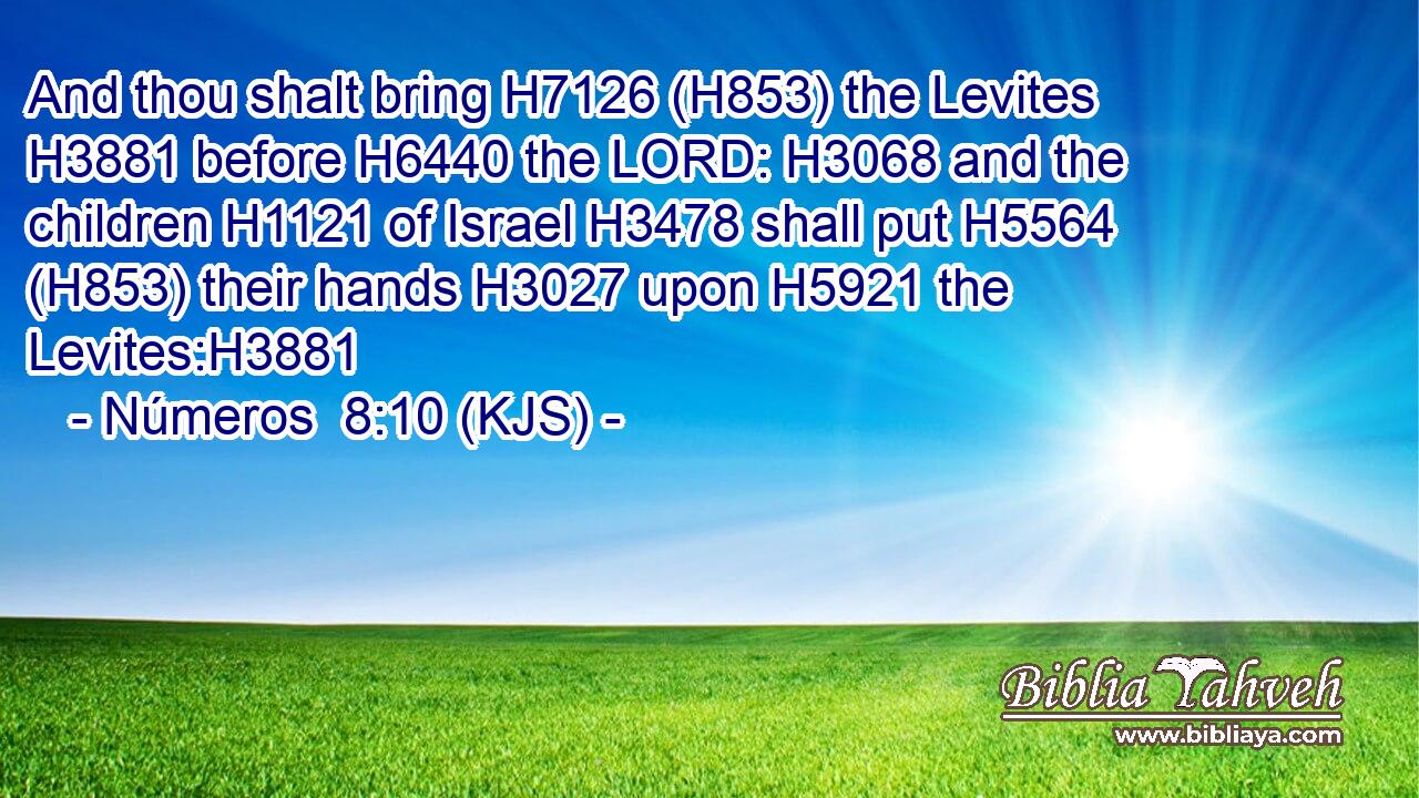 And thou shalt bring H7126 (H853) the Levites H3881 before H6440 the LORD: H3068 and the children H1121 of Israel H3478 shall put H5564 (H853) their hands H3027 upon H5921 the Levites:H3881