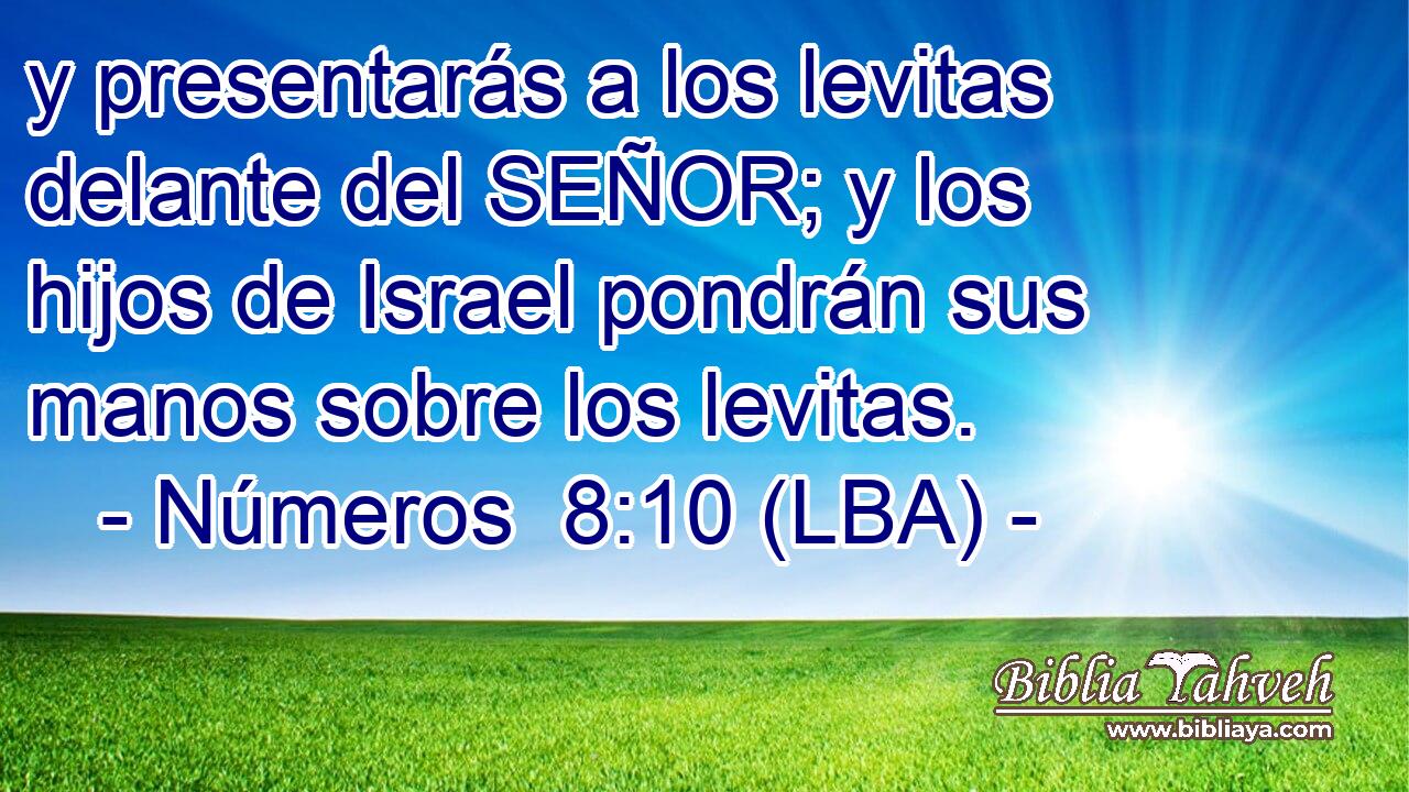 y presentarás a los levitas delante del SEÑOR; y los hijos de Israel pondrán sus manos sobre los levitas.