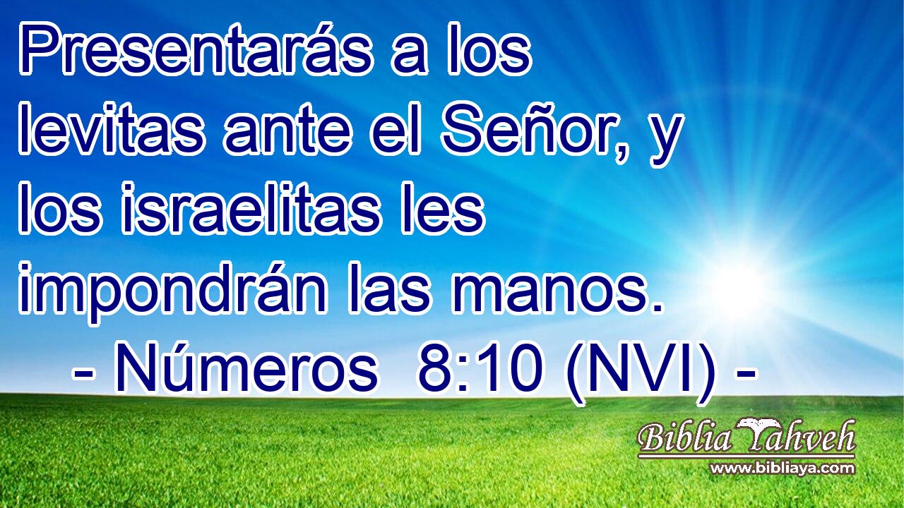  Presentarás a los levitas ante el Señor, y los israelitas les impondrán las manos. 