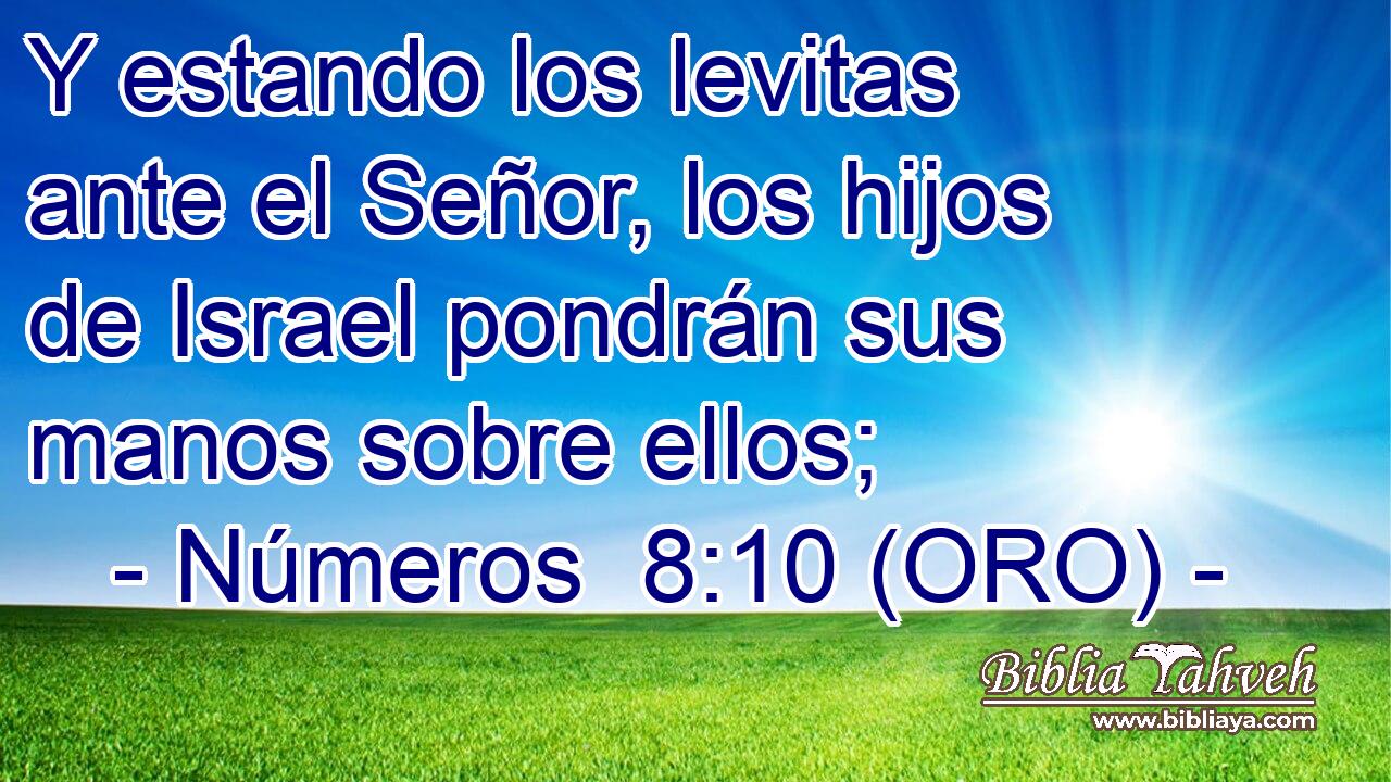  Y estando los levitas ante el Señor, los hijos de Israel pondrán sus manos sobre ellos; 