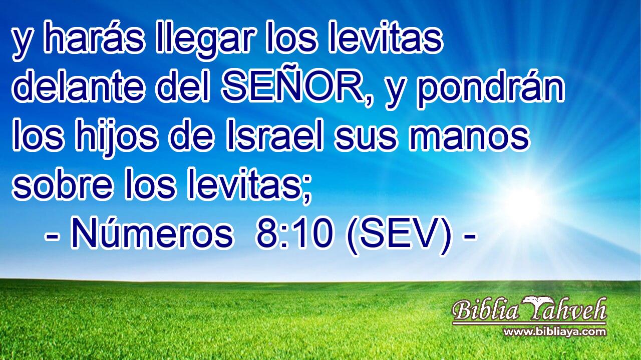 y harás llegar los levitas delante del SEÑOR, y pondrán los hijos de Israel sus manos sobre los levitas;