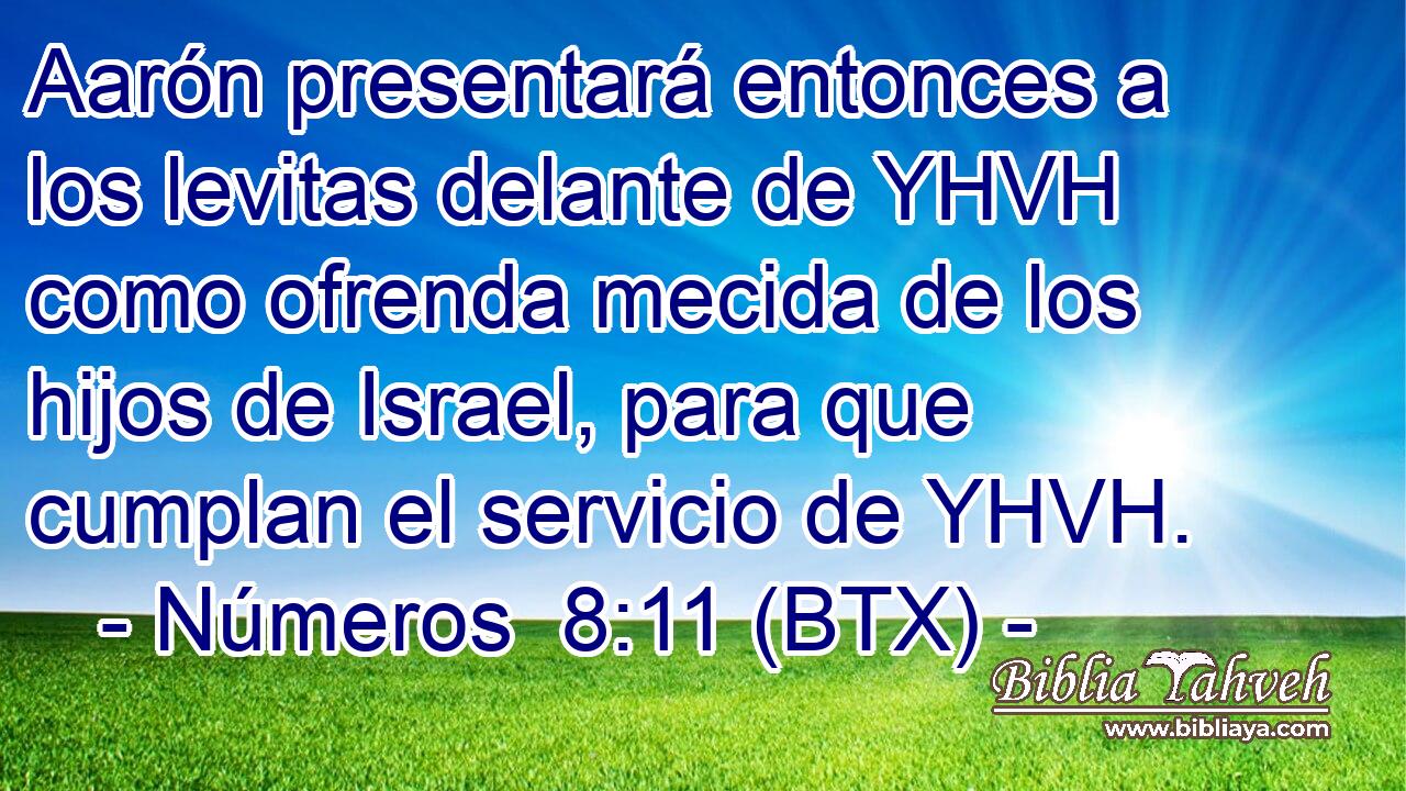 Aarón presentará entonces a los levitas delante de YHVH como ofrenda mecida de los hijos de Israel, para que cumplan el servicio de YHVH.