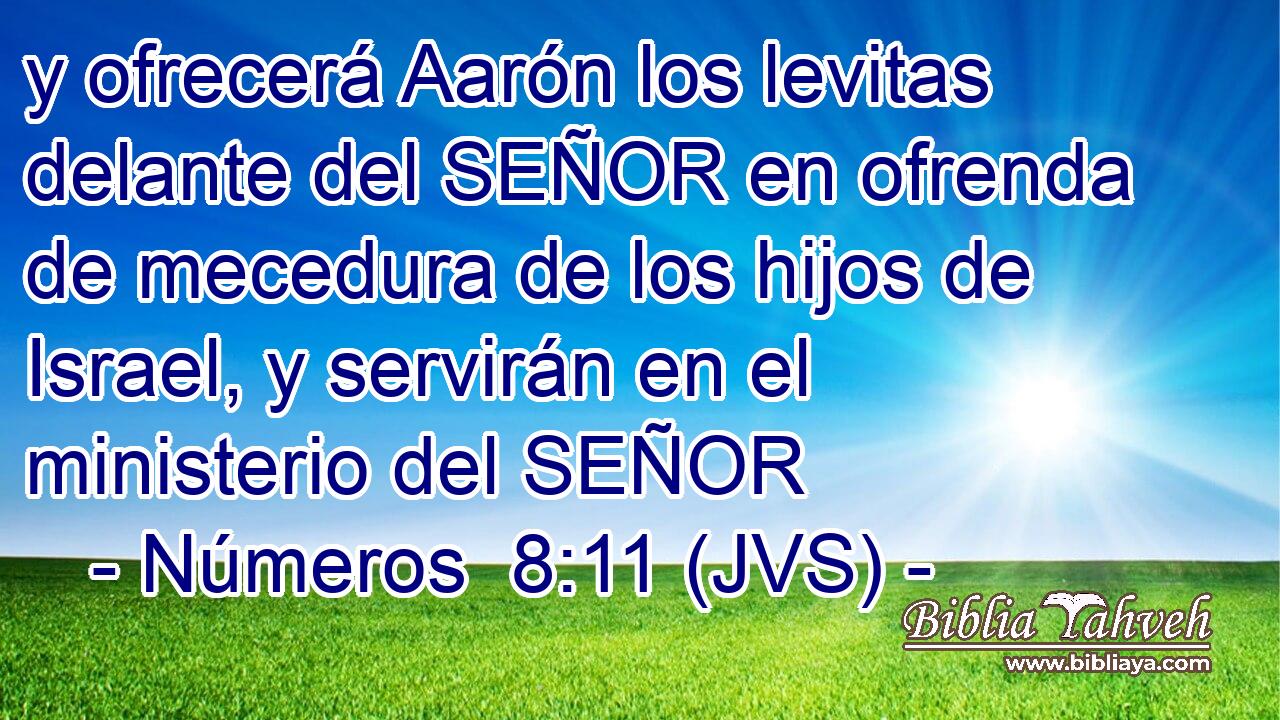y ofrecerá Aarón los levitas delante del SEÑOR en ofrenda de mecedura de los hijos de Israel, y servirán en el ministerio del SEÑOR