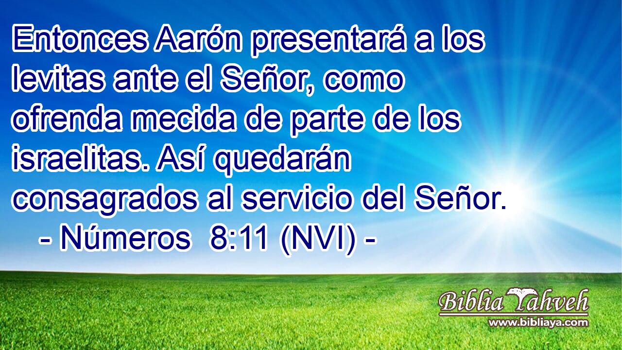  Entonces Aarón presentará a los levitas ante el Señor, como ofrenda mecida de parte de los israelitas. Así quedarán consagrados al servicio del Señor. 