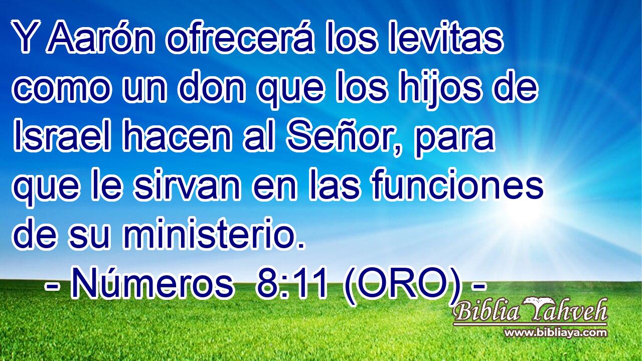  Y Aarón ofrecerá los levitas como un don que los hijos de Israel hacen al Señor, para que le sirvan en las funciones de su ministerio. 