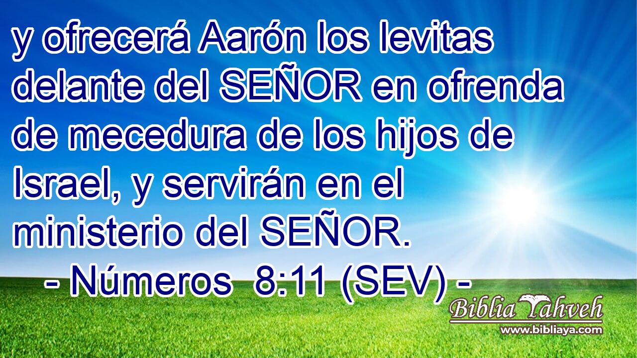 y ofrecerá Aarón los levitas delante del SEÑOR en ofrenda de mecedura de los hijos de Israel, y servirán en el ministerio del SEÑOR.