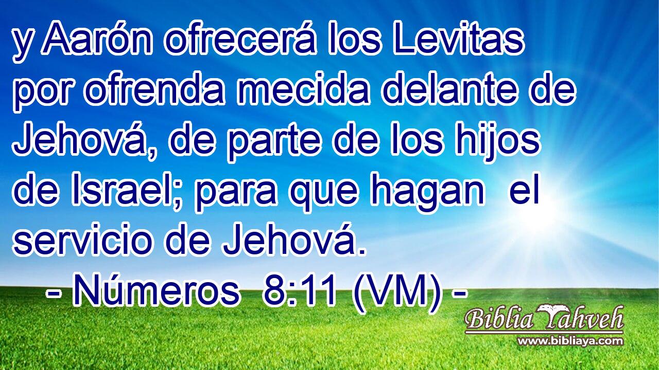  y Aarón ofrecerá los Levitas por ofrenda mecida delante de Jehová, de parte de los hijos de Israel; para que hagan  el servicio de Jehová. 