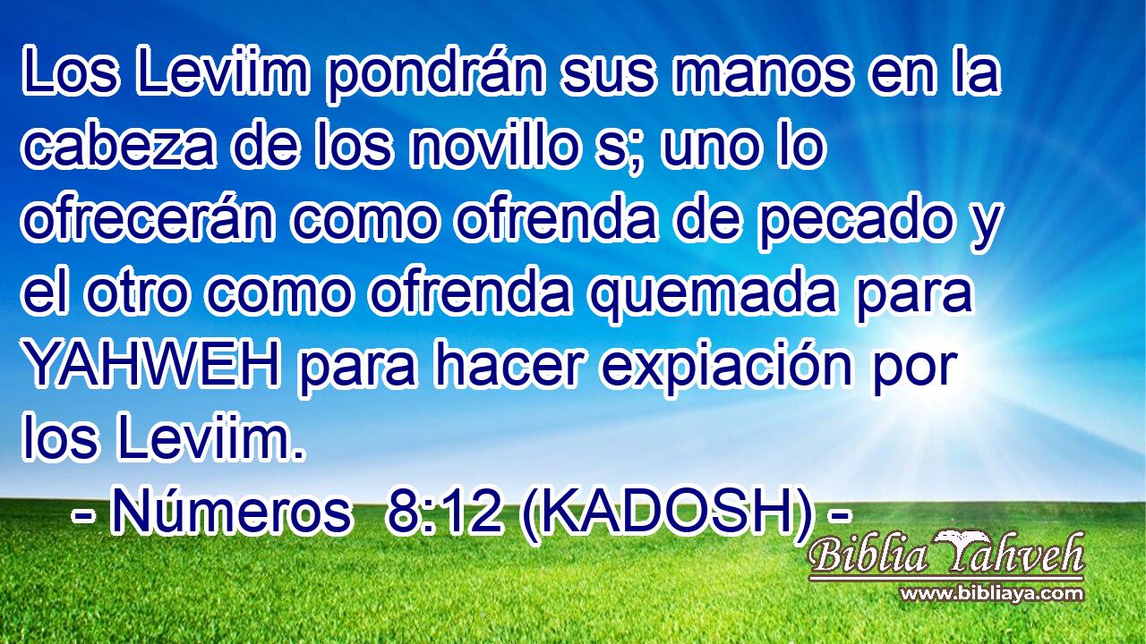  Los Leviim pondrán sus manos en la cabeza de los novillo s; uno lo ofrecerán como ofrenda de pecado y el otro como ofrenda quemada para YAHWEH para hacer expiación por los Leviim. 