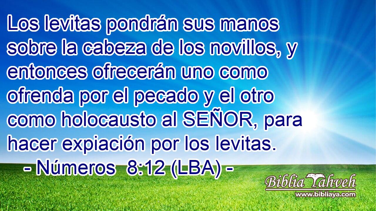 Los levitas pondrán sus manos sobre la cabeza de los novillos, y entonces ofrecerán uno como ofrenda por el pecado y el otro como holocausto al SEÑOR, para hacer expiación por los levitas.