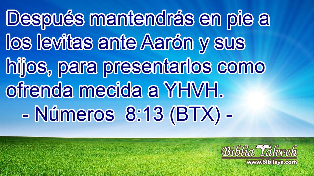 Después mantendrás en pie a los levitas ante Aarón y sus hijos, para presentarlos como ofrenda mecida a YHVH.