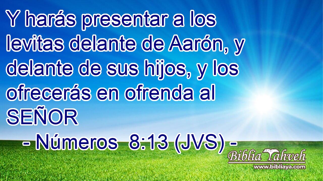 Y harás presentar a los levitas delante de Aarón, y delante de sus hijos, y los ofrecerás en ofrenda al SEÑOR