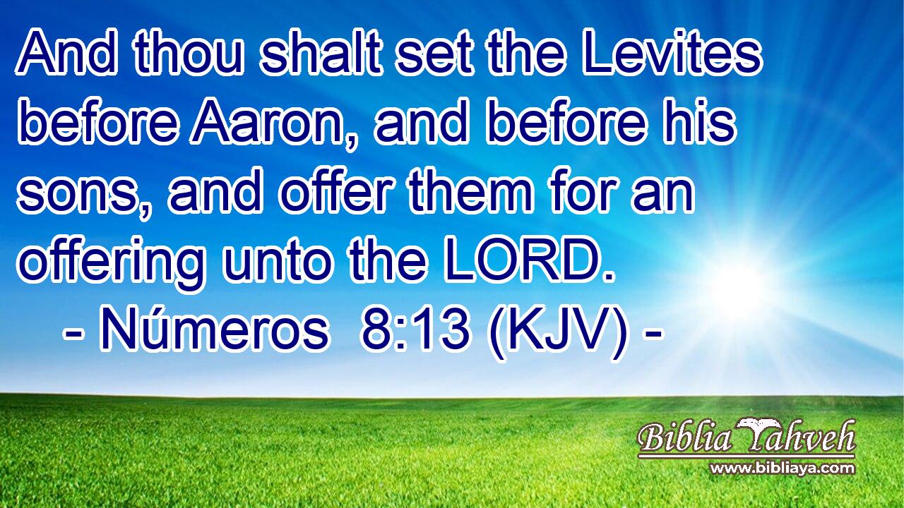 And thou shalt set the Levites before Aaron, and before his sons, and offer them for an offering unto the LORD.