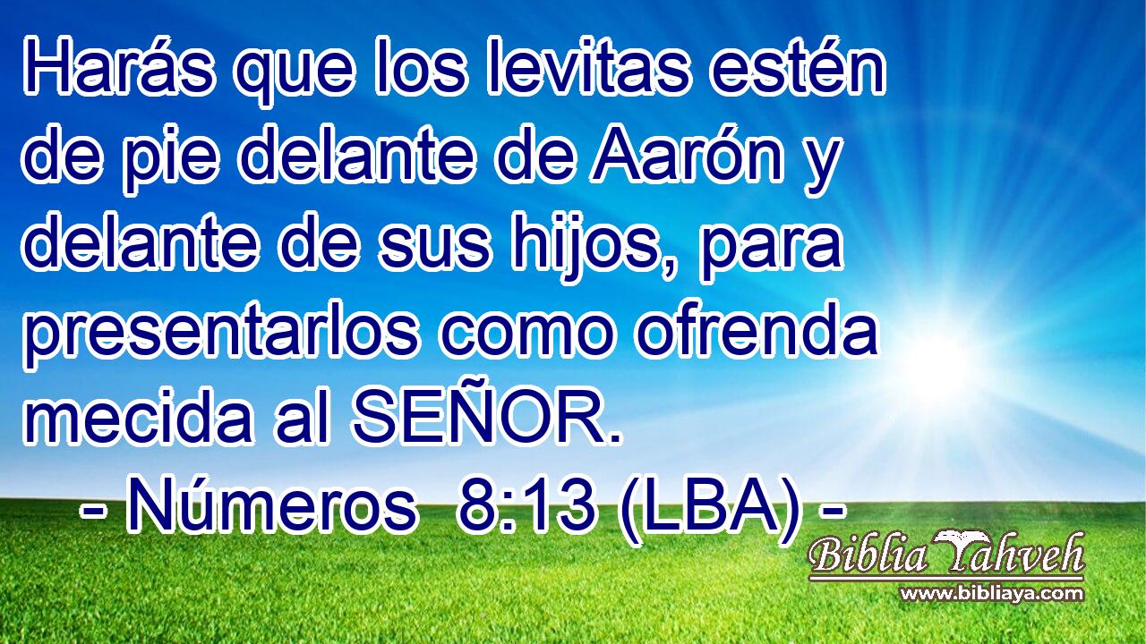 Harás que los levitas estén de pie delante de Aarón y delante de sus hijos, para presentarlos como ofrenda mecida al SEÑOR.