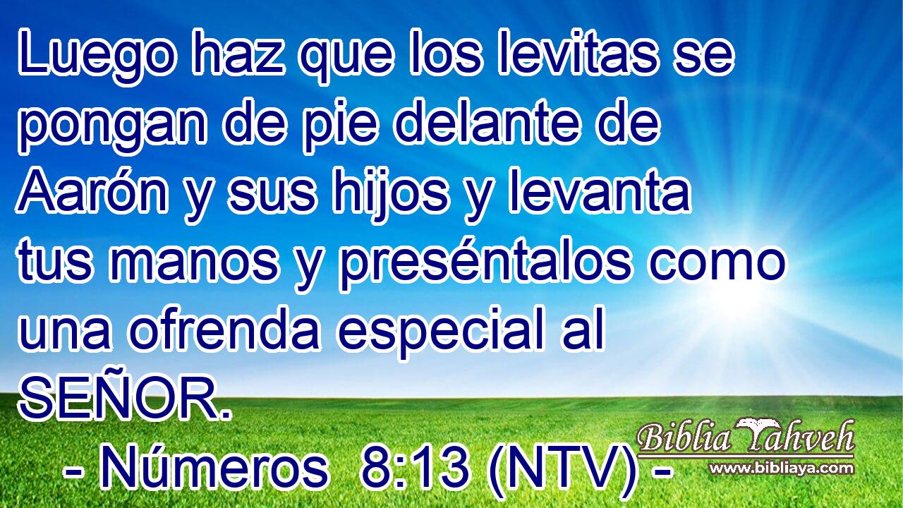 Luego haz que los levitas se pongan de pie delante de Aarón y sus hijos y levanta tus manos y preséntalos como una ofrenda especial al SEÑOR.