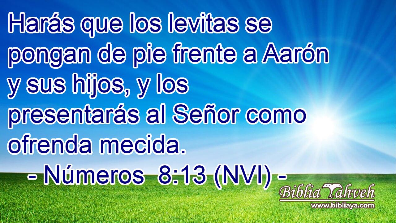 Harás que los levitas se pongan de pie frente a Aarón y sus hijos, y los presentarás al Señor como ofrenda mecida. 