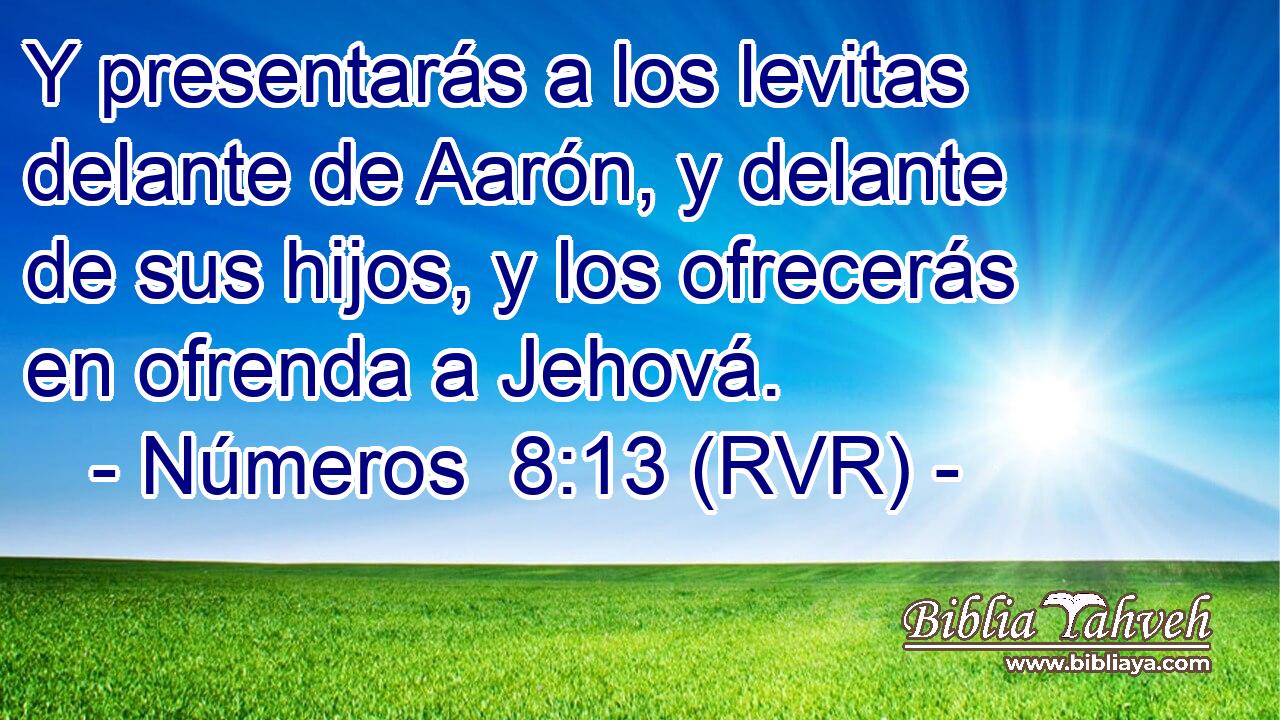 Y presentarás a los levitas delante de Aarón, y delante de sus hijos, y los ofrecerás en ofrenda a Jehová.