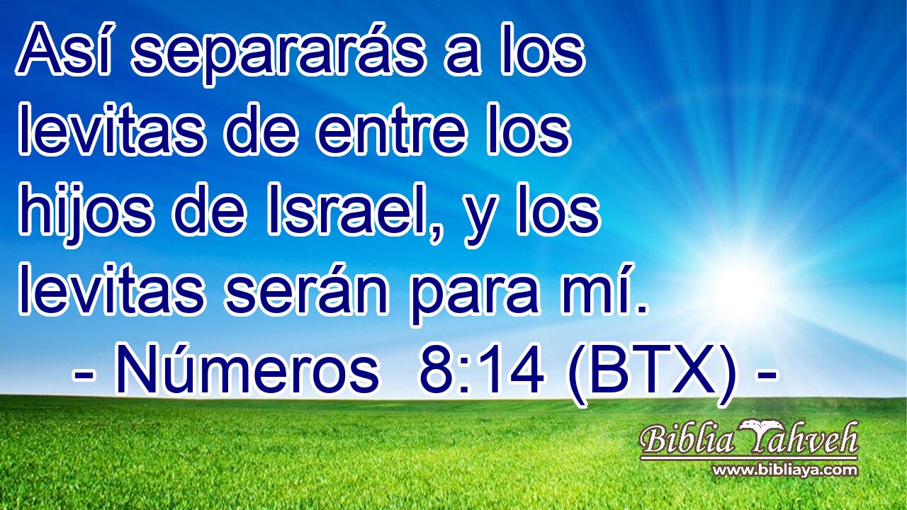 Así separarás a los levitas de entre los hijos de Israel, y los levitas serán para mí.