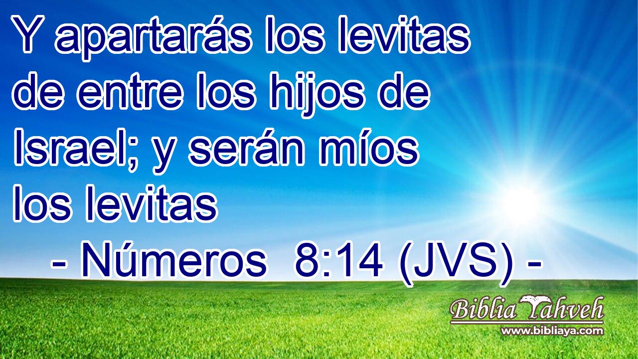 Y apartarás los levitas de entre los hijos de Israel; y serán míos los levitas