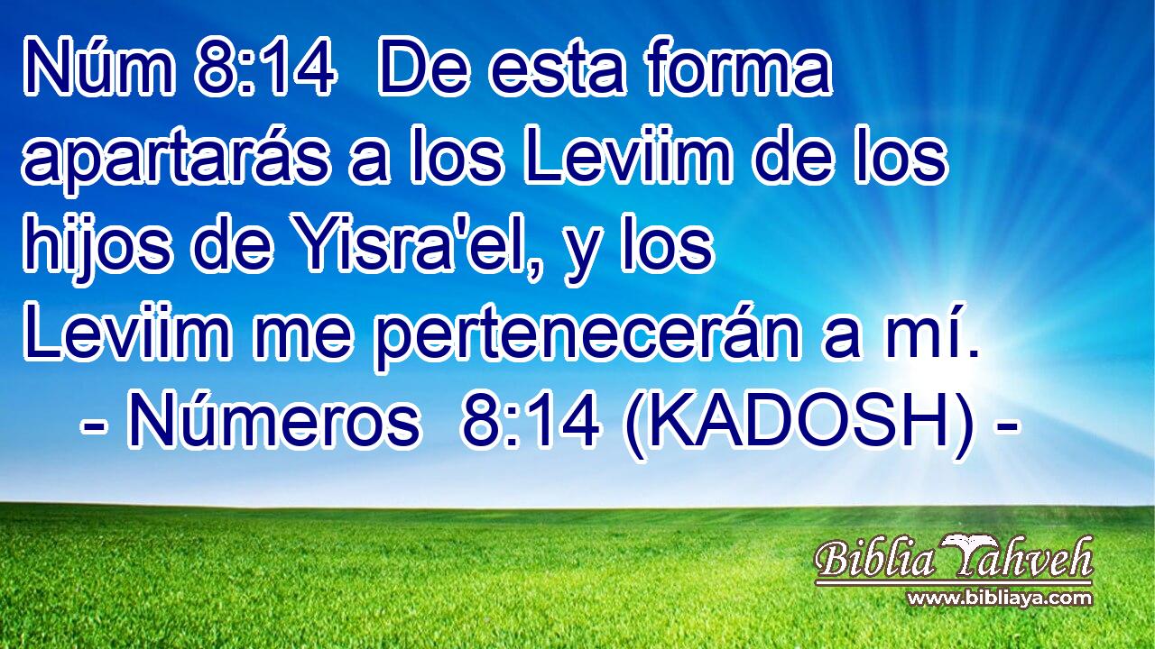  De esta forma apartarás a los Leviim de los hijos de Yisra'el, y los Leviim me pertenecerán a mí. 