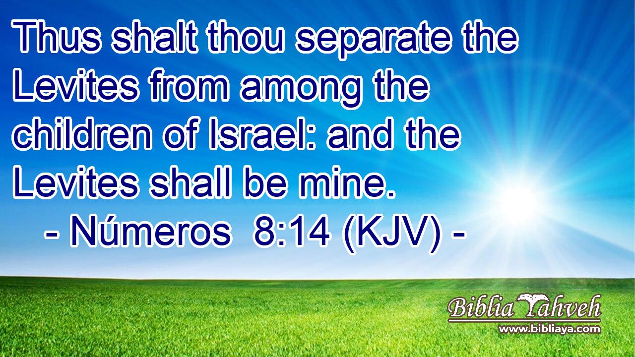 Thus shalt thou separate the Levites from among the children of Israel: and the Levites shall be mine.