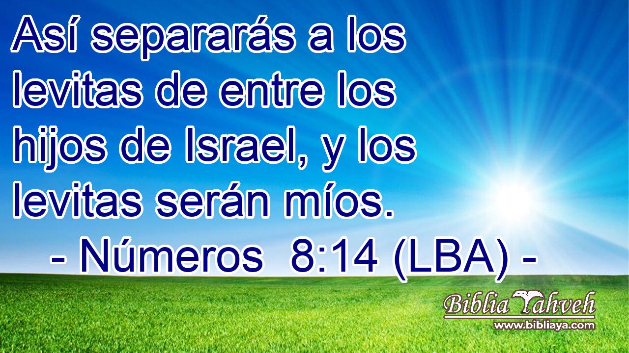 Así separarás a los levitas de entre los hijos de Israel, y los levitas serán míos.