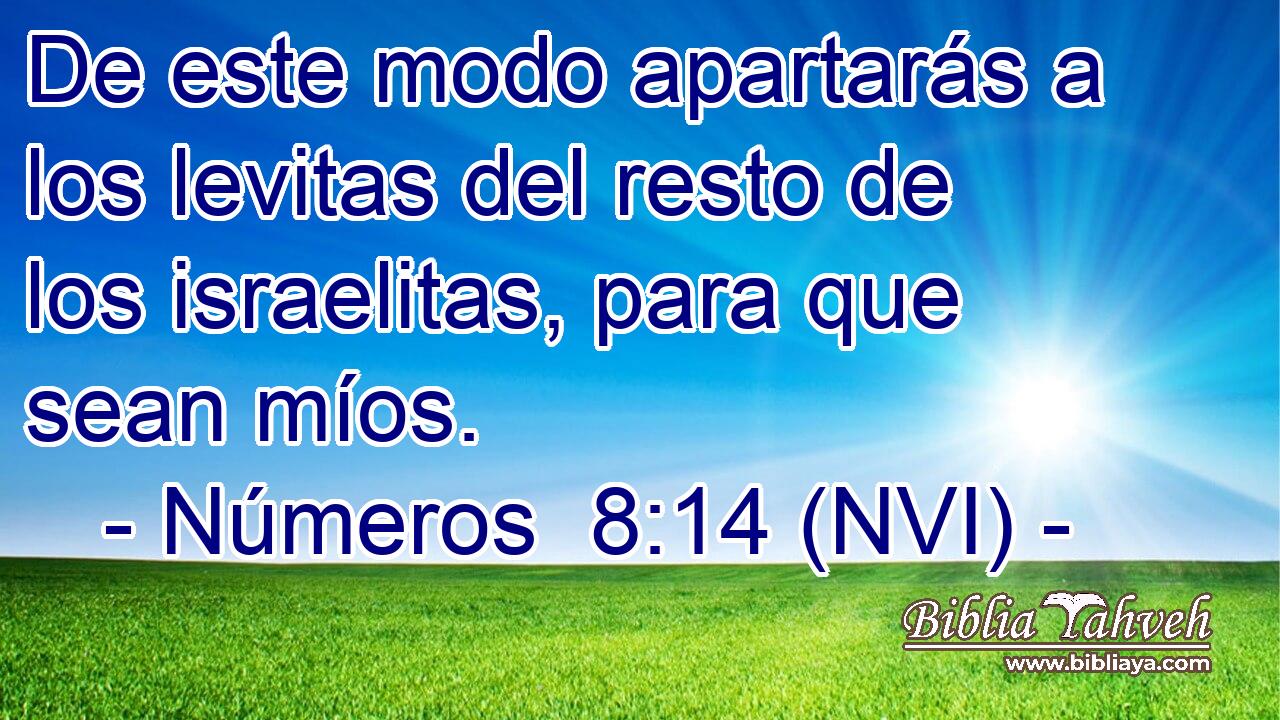  De este modo apartarás a los levitas del resto de los israelitas, para que sean míos. 