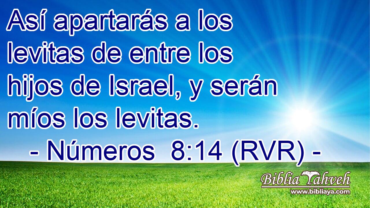 Así apartarás a los levitas de entre los hijos de Israel, y serán míos los levitas.