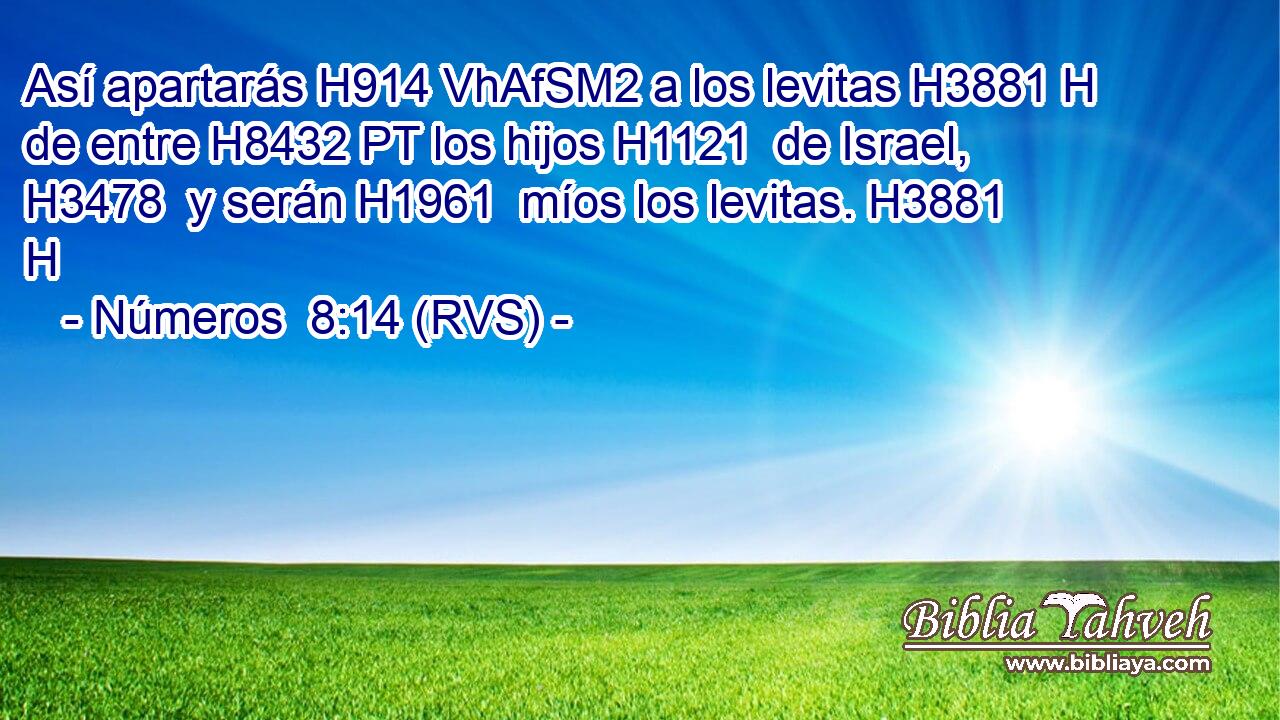 Así apartarás H914 VhAfSM2 a los levitas H3881 H de entre H8432 PT los hijos H1121  de Israel, H3478  y serán H1961  míos los levitas. H3881 H 