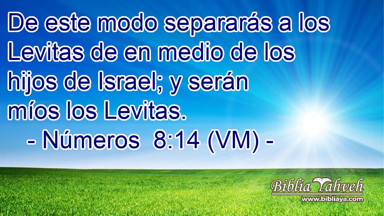  De este modo separarás a los Levitas de en medio de los hijos de Israel; y serán míos los Levitas. 
