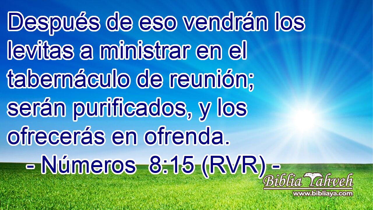 Después de eso vendrán los levitas a ministrar en el tabernáculo de reunión; serán purificados, y los ofrecerás en ofrenda.